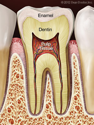 Image example of a healthy tooth